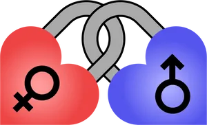 Gender Symbols Linked Hearts PNG Image