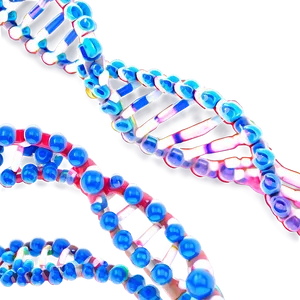 Genetics Basics Png Irn73 PNG Image