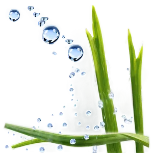 Gentle Water Drops On Grass Png Hcl PNG Image