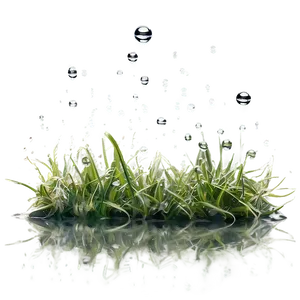 Gentle Water Drops On Grass Png Vai PNG Image