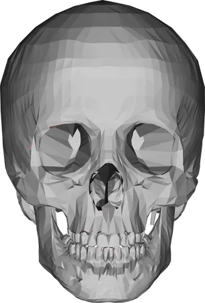 Geometric Skull Rendering PNG Image