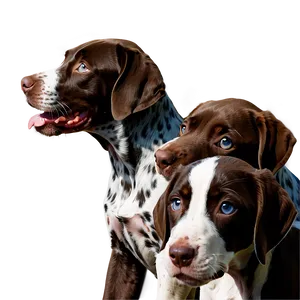 German Shorthaired Pointer With Puppies Png Gfa39 PNG Image