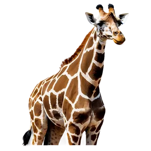 Giraffe Safari Park Png Hqk PNG Image