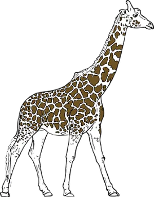 Giraffe Silhouette Art PNG Image