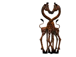 Giraffesin Love Dark Background PNG Image