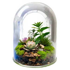 Glass Dome Terrarium Png Urg PNG Image