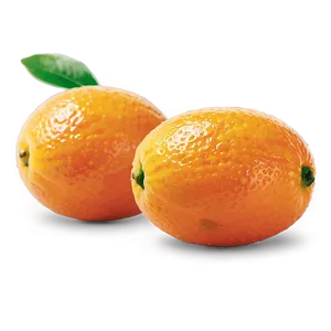 Glistening Kumquat Png 86 PNG Image