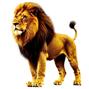 Glorious Lion Of Judah Image Png 40 PNG Image