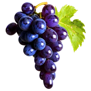 Glossy Grape Image Png Ffp20 PNG Image