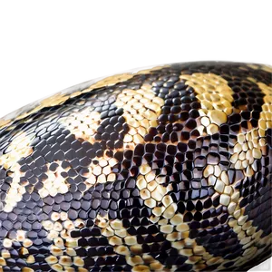 Glossy Snake Skin Png 77 PNG Image