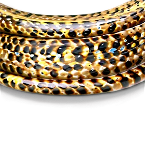 Glossy Snake Skin Png 97 PNG Image