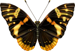 Glowing Butterfly Illustration PNG Image