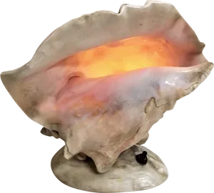 Glowing Conch Shell PNG Image