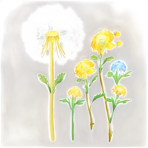 Glowing Dandelion Png Nav35 PNG Image