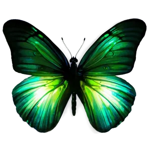 Glowing Green Butterfly Picture Png Dku79 PNG Image