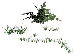 Glowing Plants Night Scene PNG Image