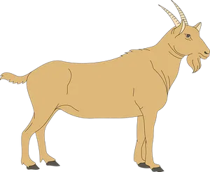 Goat Vector Illustration PNG Image