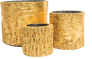 Gold Textured Planters Set PNG Image