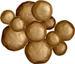 Golden Abstract Circles Wall Art PNG Image