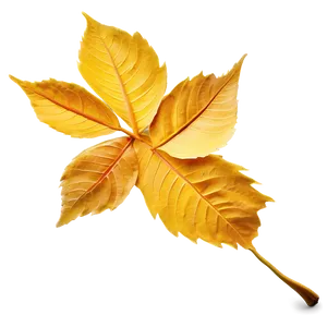 Golden Autumn Leaves Png Adb PNG Image