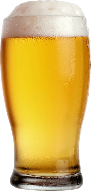 Golden Beer Glass Frothy Head PNG Image