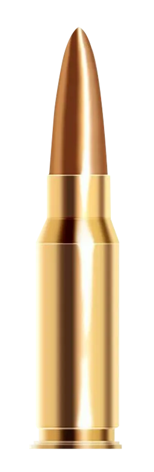 Golden Bullet Isolated PNG Image