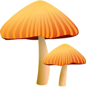 Golden Capped Mushrooms Illustration PNG Image