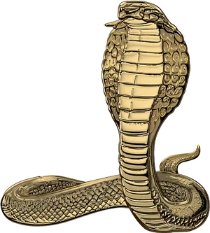 Golden Cobra Illustration PNG Image