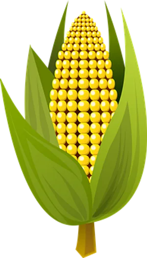 Golden Corn Cob Illustration PNG Image