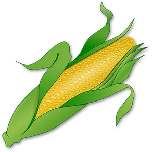 Golden Corn Ear Illustration PNG Image