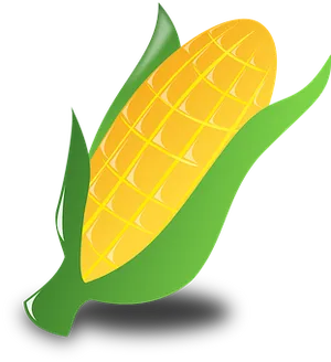 Golden Corn Illustration PNG Image