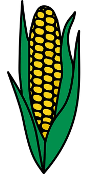 Golden Corn Illustration PNG Image