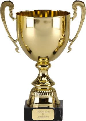 Golden Cricket Trophy PNG Image