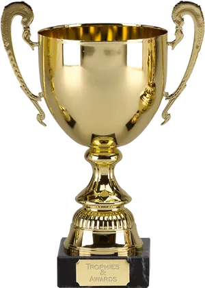 Golden Cricket Trophy PNG Image