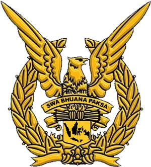 Golden Eagle Air Force Emblem PNG Image