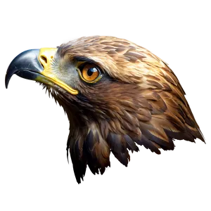 Golden Eagle Head Image Png 06292024 PNG Image