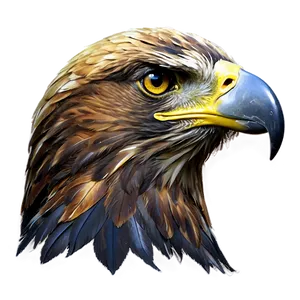 Golden Eagle Head Image Png Dtp69 PNG Image