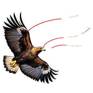 Golden Eagle In Flight Against Sun Png 19 PNG Image