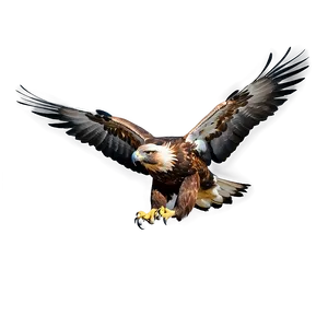 Golden Eagle In Flight Png 36 PNG Image