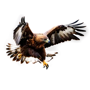 Golden Eagle Landing Png 23 PNG Image