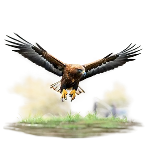 Golden Eagle Mid-flight Png Lgt PNG Image