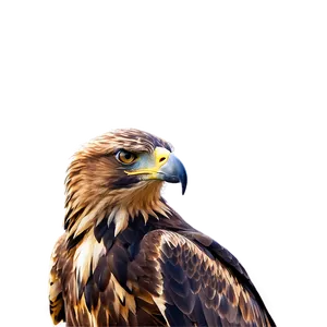 Golden Eagle With Dramatic Sky Png 48 PNG Image