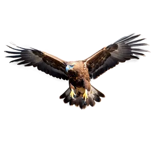 Golden Eagle With Open Beak Png Yog PNG Image