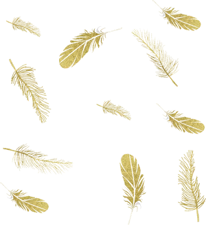 Golden Feathers Black Background PNG Image