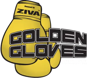 Golden Gloves Gym Logo PNG Image