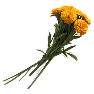 Golden Marigolds Bouquet Png 06132024 PNG Image