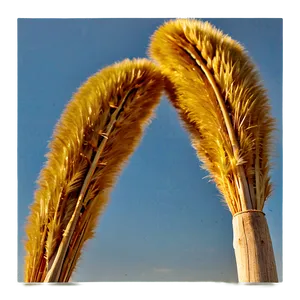 Golden Pampas Sunset Png 87 PNG Image