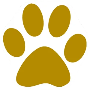 Golden Paw Print Graphic PNG Image