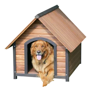 Golden Retriever In Doghouse.png PNG Image