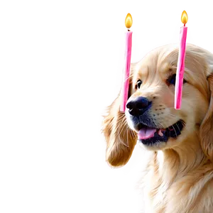 Golden Retriever Puppy Birthday Hat Png Vwf5 PNG Image